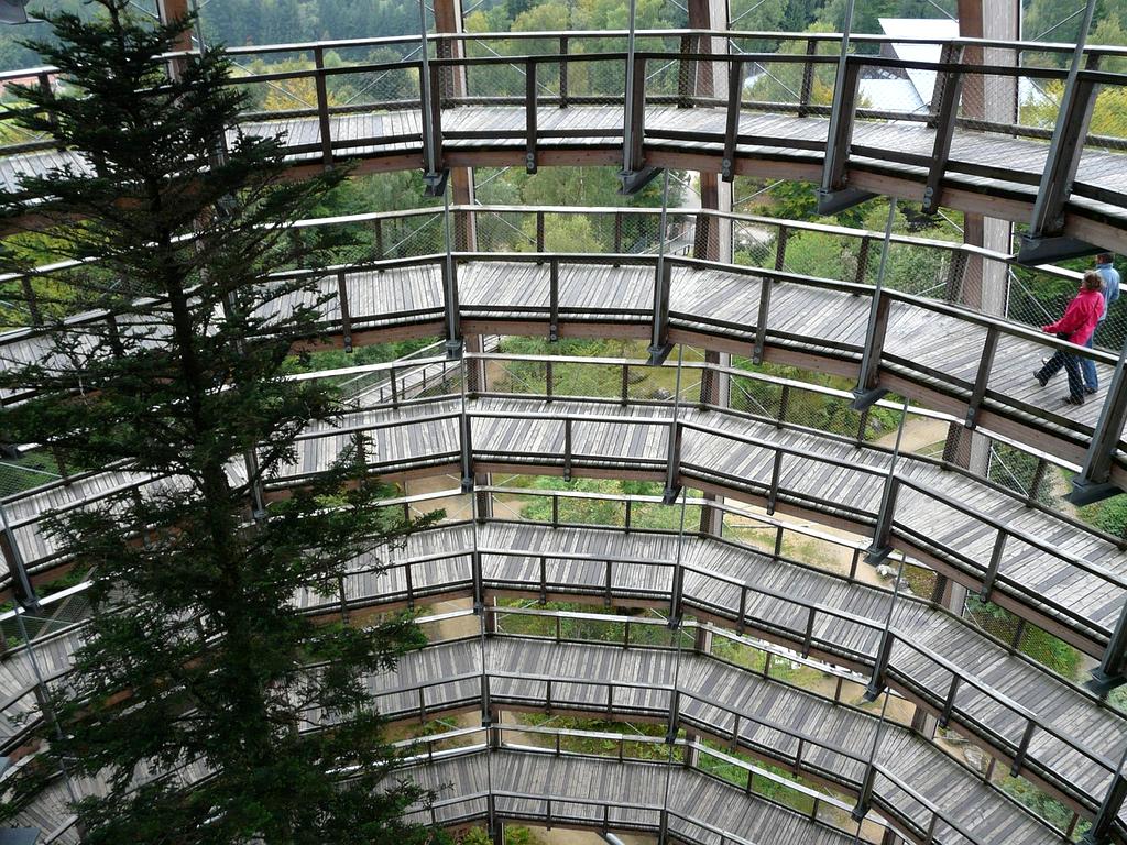 eBook cover: Systemic Lifestyle Foundations