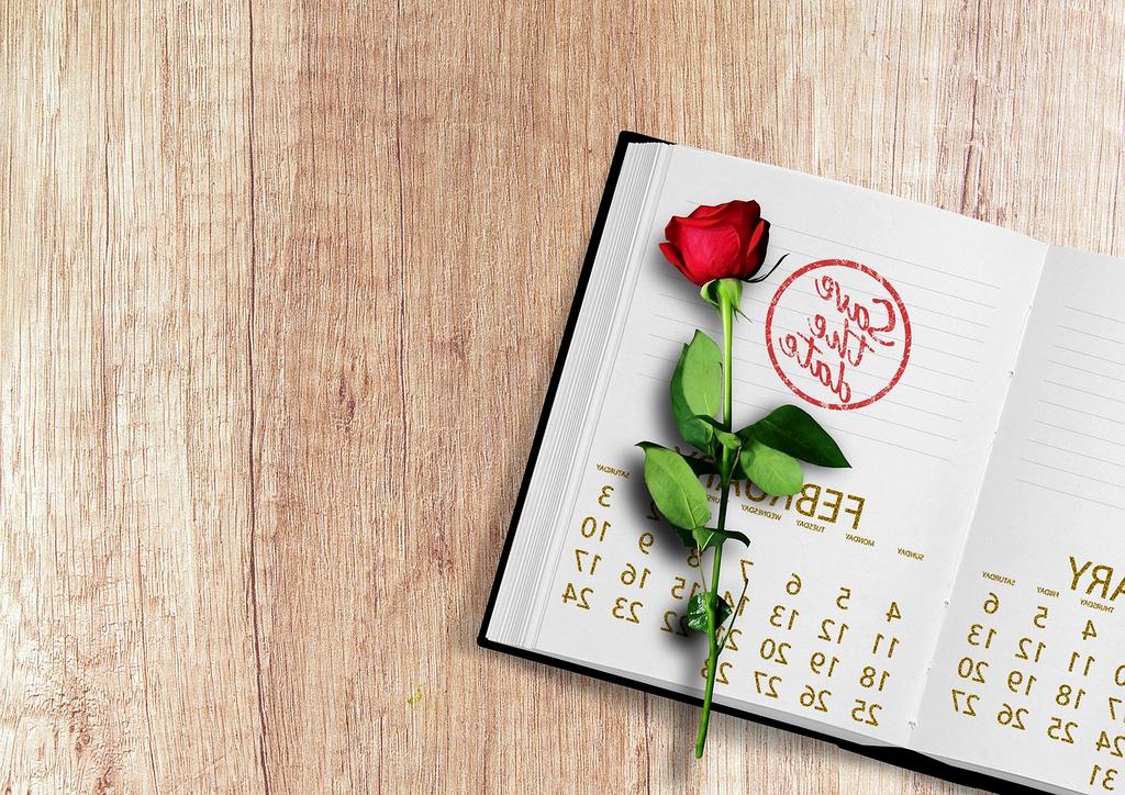 100% satisfaction guarantee seal