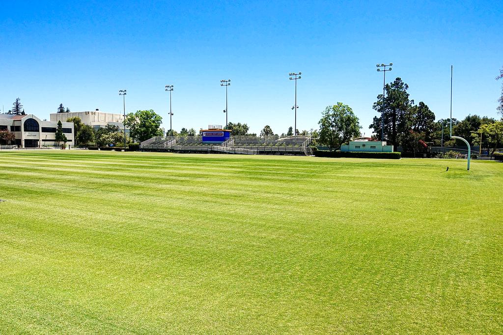 Personalized coaching illustration