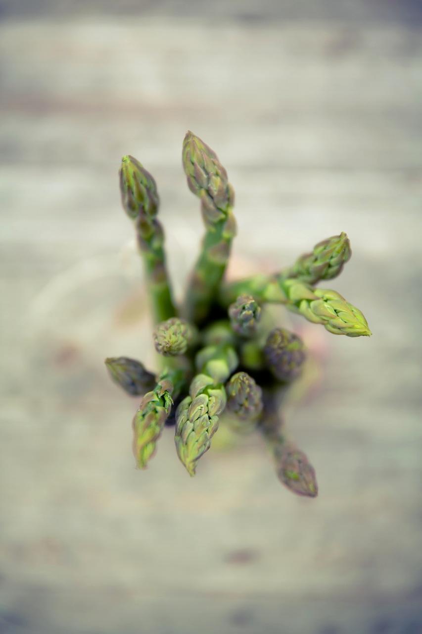 Healthy meals arranged on a table