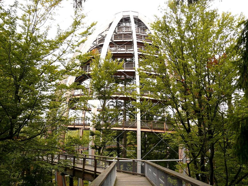 Emma Johnson testimonial