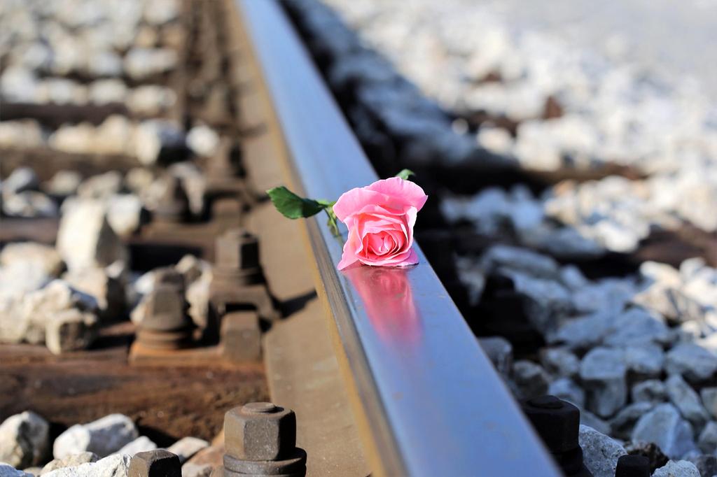 Interactive tool for biometric data tracking